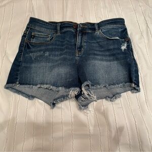 Judy Blue denim Jean shorts size xl